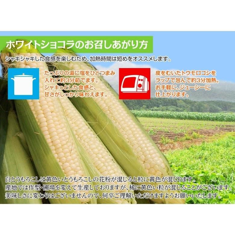 愛知県産 トウモロコシ ホワイトショコラ 8 11本入 L 3lサイズ 約3kg 冷蔵 産地直送 送料無料 とうもろこし 3i いただきマルシェ 通販 Yahoo ショッピング