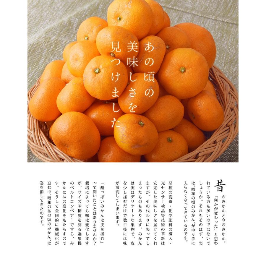 みかん ミカン 蜜柑 神奈川県小田原産 沼代自然派みかん 樹齢40年超の青島種 約6kg サイズ混合 無選別 送料無料 3i いただきマルシェ 通販 Yahoo ショッピング