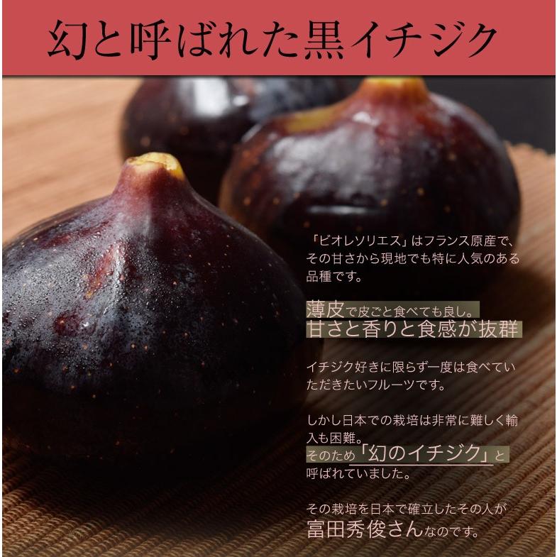 いちじく イチジク 黒いちじく 黒イチジク 佐賀県産 富田秀俊さんの ビオレソリエス 約300g 3 8玉 2p 冷蔵 産地直送 送料無料 3i いただきマルシェ 通販 Yahoo ショッピング