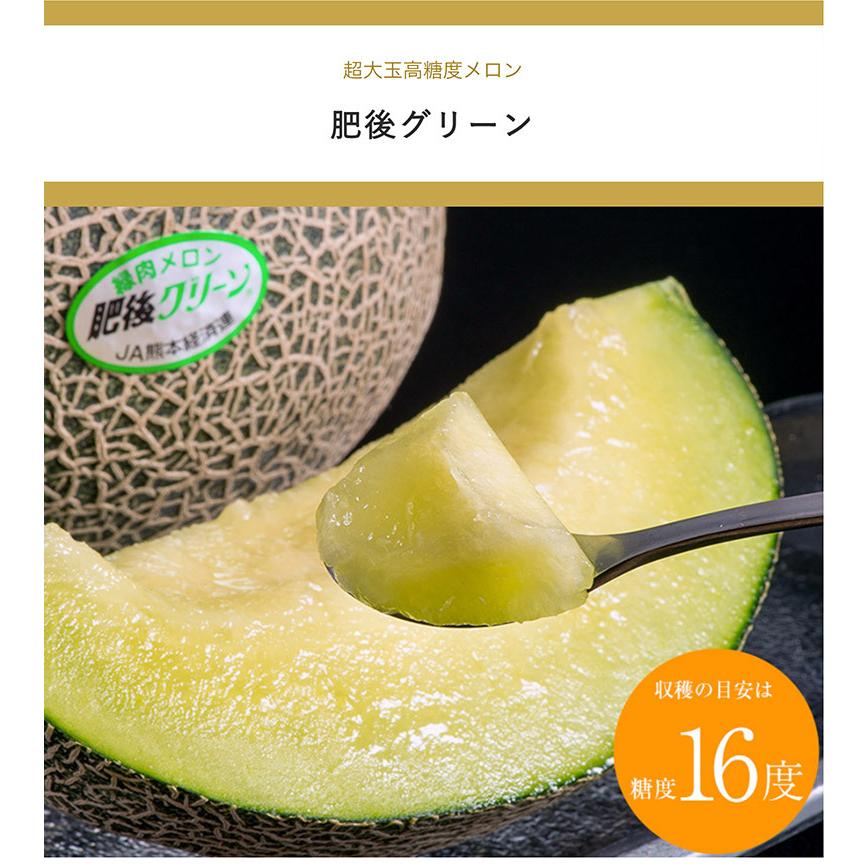 肥後グリーン』 熊本県産メロン 八代・宇城産ほか 2〜4Lサイズ 優品