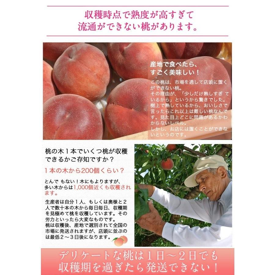 桃 もも 訳あり 山梨県産 春日居共選所の 熟れ桃 約1.3kg×2箱 送料無料 産地直送｜umeebeccyasannriku｜03