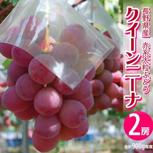 葡萄 ブドウ 長野県産 赤ぶどう クイーンニーナ 2房 合計約800g 送料無料 3i いただきマルシェ 通販 Yahoo ショッピング