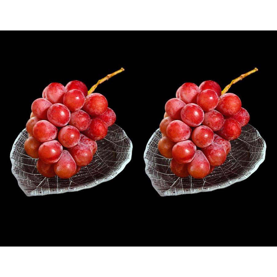 葡萄 ブドウ 長野県産 赤ぶどう クイーンニーナ 2房 合計約800g 送料無料 3i いただきマルシェ 通販 Yahoo ショッピング