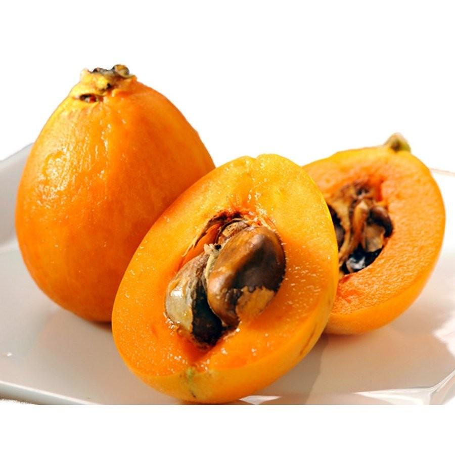 50 びわ 果物 最高の花の画像