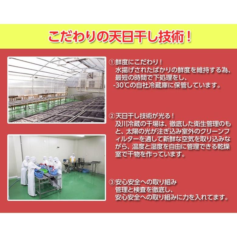 天日干し骨抜きひとくちサンマ 1袋500g 海外並行輸入正規品 冷凍
