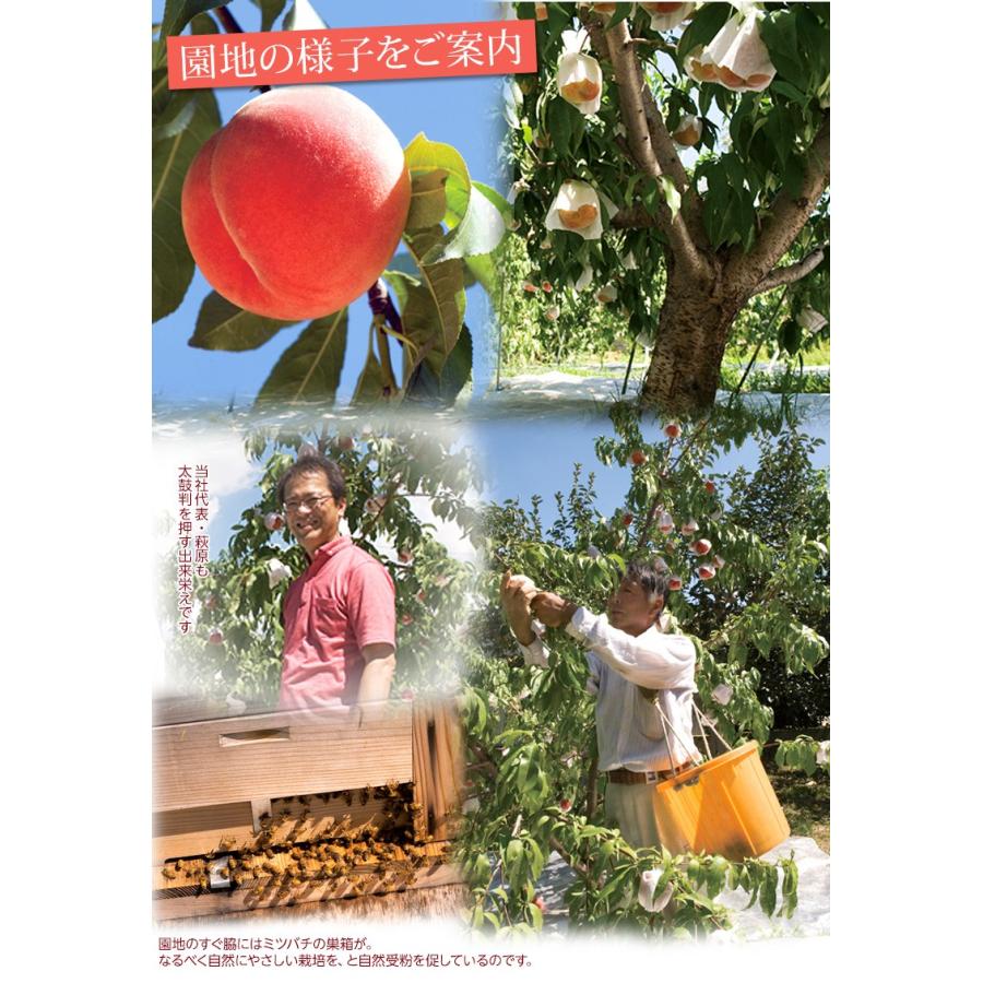 もも 桃 福島県産 菱沼農園 『桃水＆光月』 約2kg (6〜8玉入) 送料無料 常温 ふくしまプライド。体感キャンペーン（果物/野菜）｜umeebeccyasannriku｜05