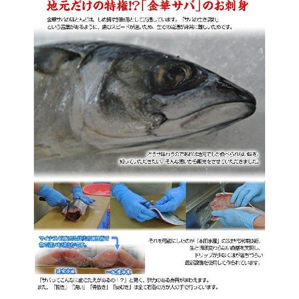 お刺身サバは 地元だけの特権 本田水産が作る 金華サバお刺身漬け丼 3食 冷凍 送料無料 3z いただきマルシェ 通販 Yahoo ショッピング
