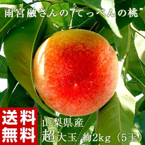 木のてっぺんになった 山梨の甘い桃超特大を2キロの箱に5個詰め