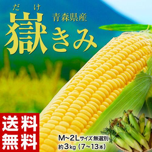 青森県産　『嶽きみ』 M〜2Lサイズ 無選別　約3kg（8〜13本） ※冷蔵 送料無料｜umeebeccyasannriku