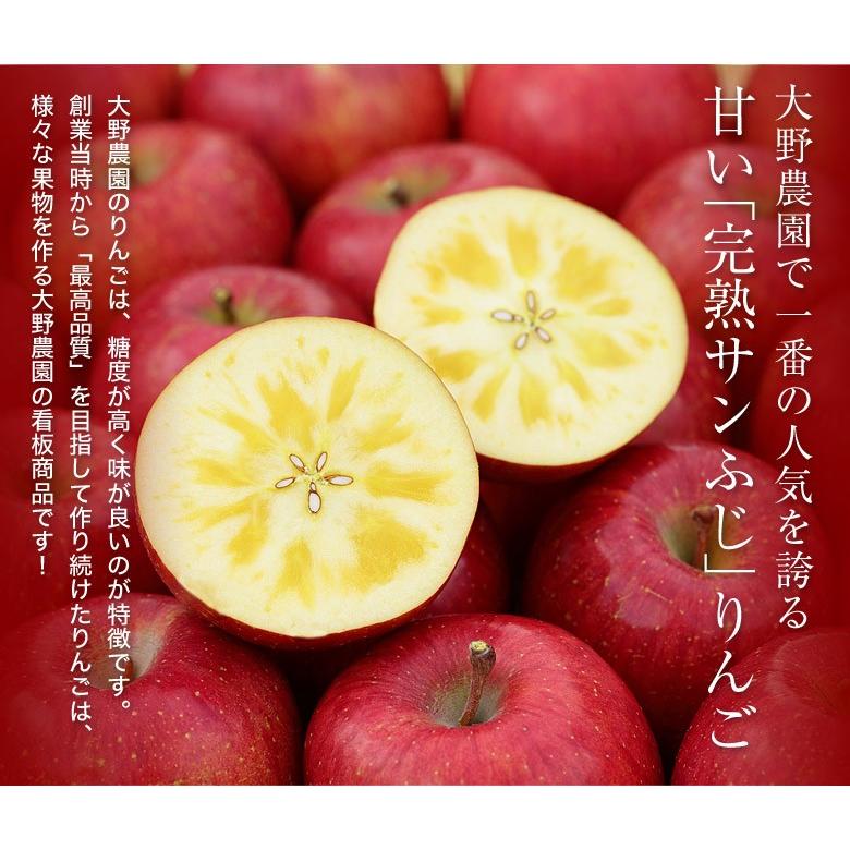 りんご 林檎 リンゴ 訳あり 大野農園 復活アップル 品種 サンふじ 福島県石川町産 約6kg 13 20玉 送料無料 常温 産地直送 福袋 新春 203z09569 いただきマルシェ 通販 Yahoo ショッピング