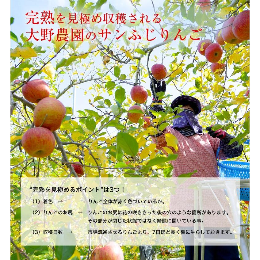 りんご 林檎 リンゴ 訳あり 大野農園 訳あり 完熟サンふじ 福島県石川町産 りんご 約5kg 13 玉 産地箱入 常温 送料無料 3z いただきマルシェ 通販 Yahoo ショッピング