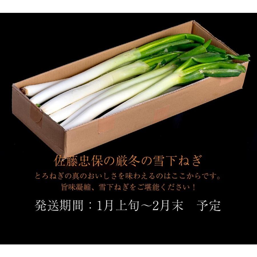 ねぎ 葱 ネギ とろねぎ 佐藤忠保さんの極太霜降りねぎ 約2kg 10 12本 福島県会津若松産 常温 産地直送 送料無料 3z いただきマルシェ 通販 Yahoo ショッピング