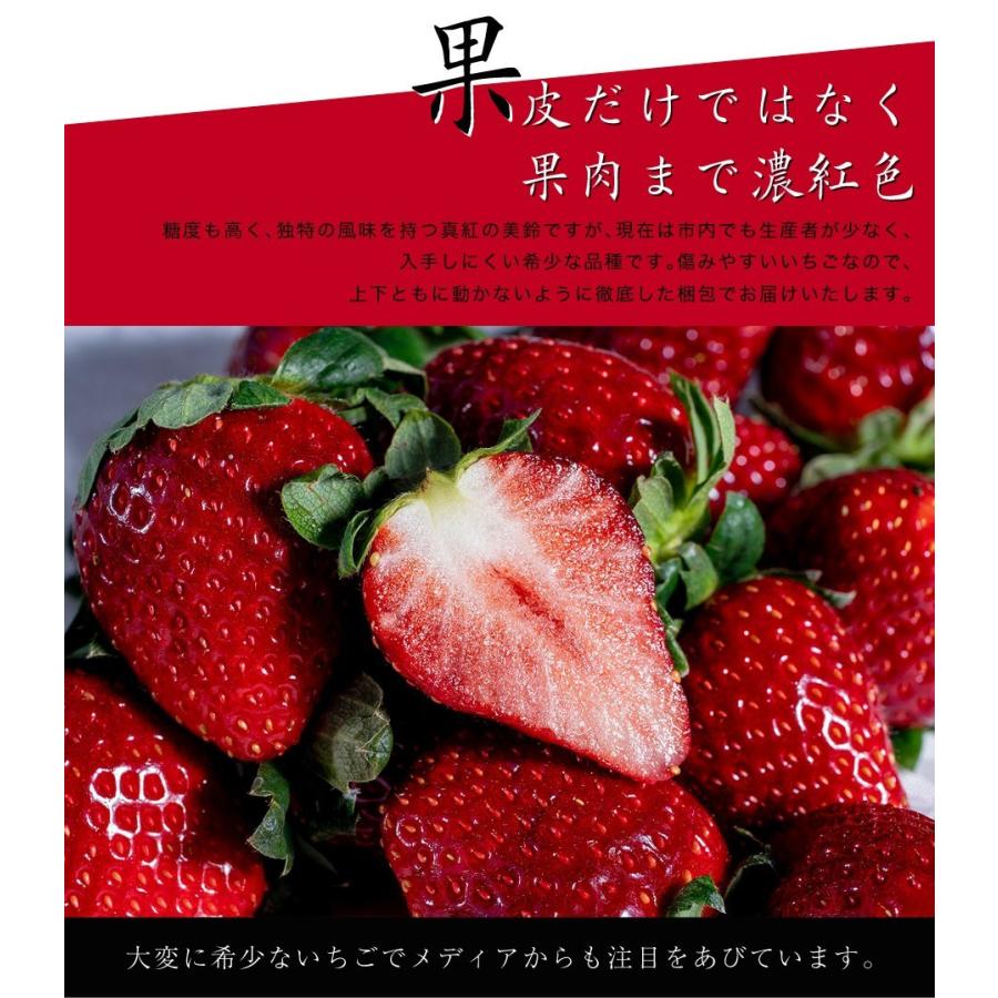 宅配便送料込み価格 真紅の美鈴さん Mからlサイズいちごbox いちご 最先端 食品 フルーツ Www Writeawriting Com