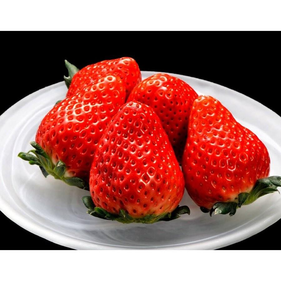 ブランドいちご福袋 4品種 合計約1kg 佐賀 いちごさん 約240g 福岡 あまおう 約270g 栃木 スカイベリー 300g 静岡 きらぴ香 約300g 送料無料 冷蔵 3z いただきマルシェ 通販 Yahoo ショッピング