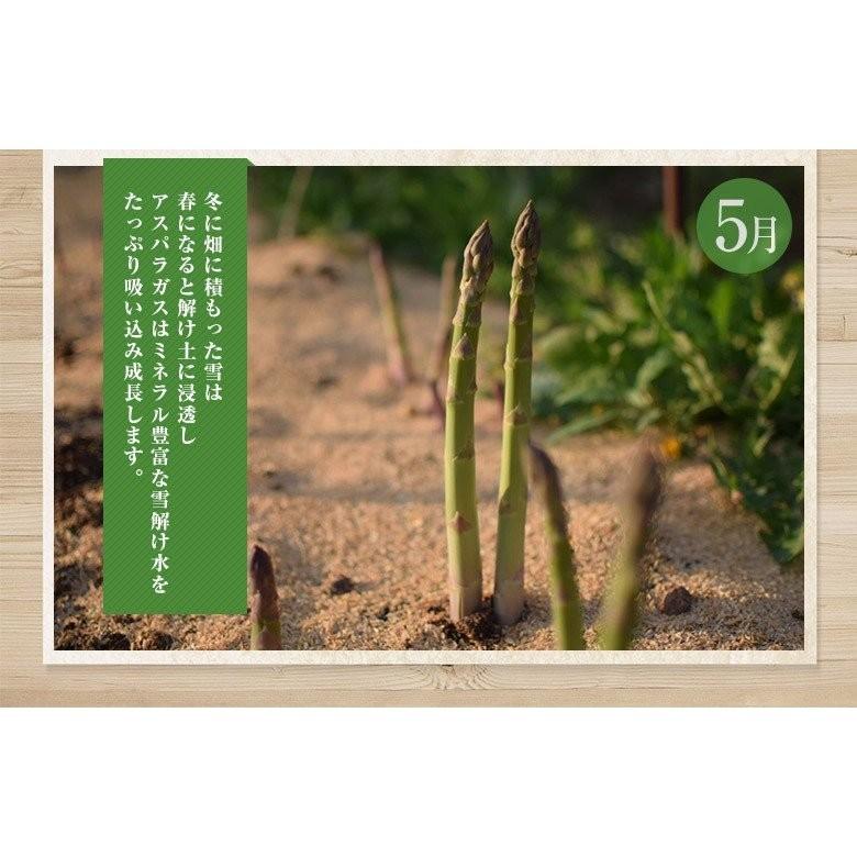 アスパラ アスパラガス 福島県喜多方市産 江川さんのアスパラガス 2lサイズ 1本 約50g 約1kg 冷蔵 産地直送 送料無料 3z いただきマルシェ 通販 Yahoo ショッピング