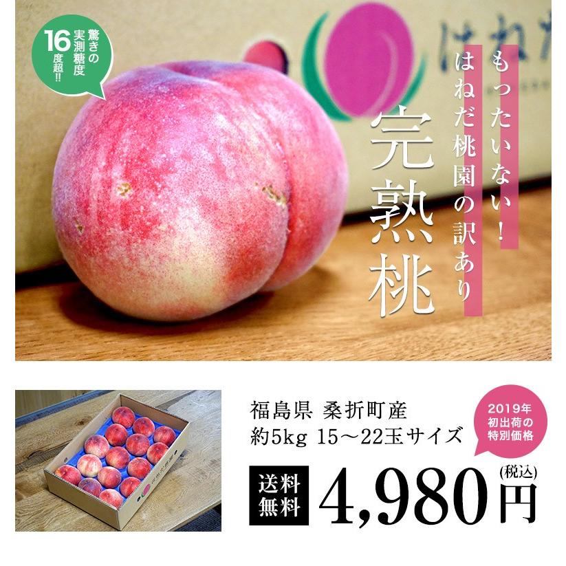 新作アイテム毎日更新 赤字覚悟の10%OFF 今が買い時‼ 山梨県 桃 4kg 12