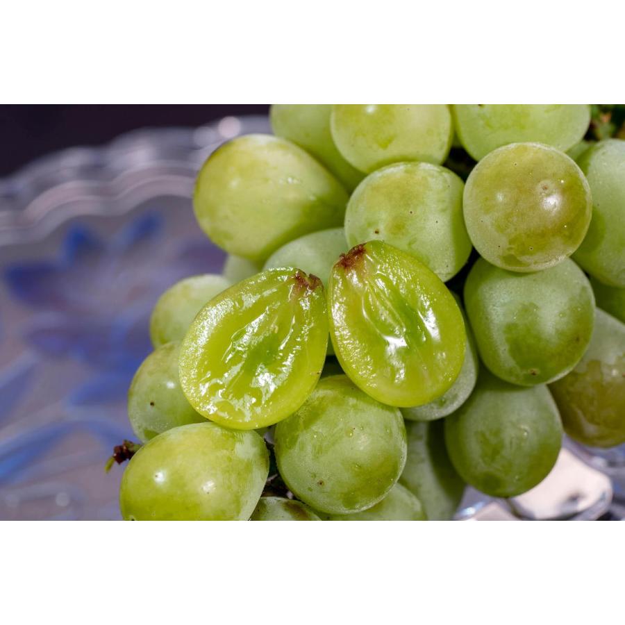 ブドウ 葡萄 ぶどう 長野県 青木農園の 黄玉 1kg 2 3房 冷蔵 送料無料 3z いただきマルシェ 通販 Yahoo ショッピング