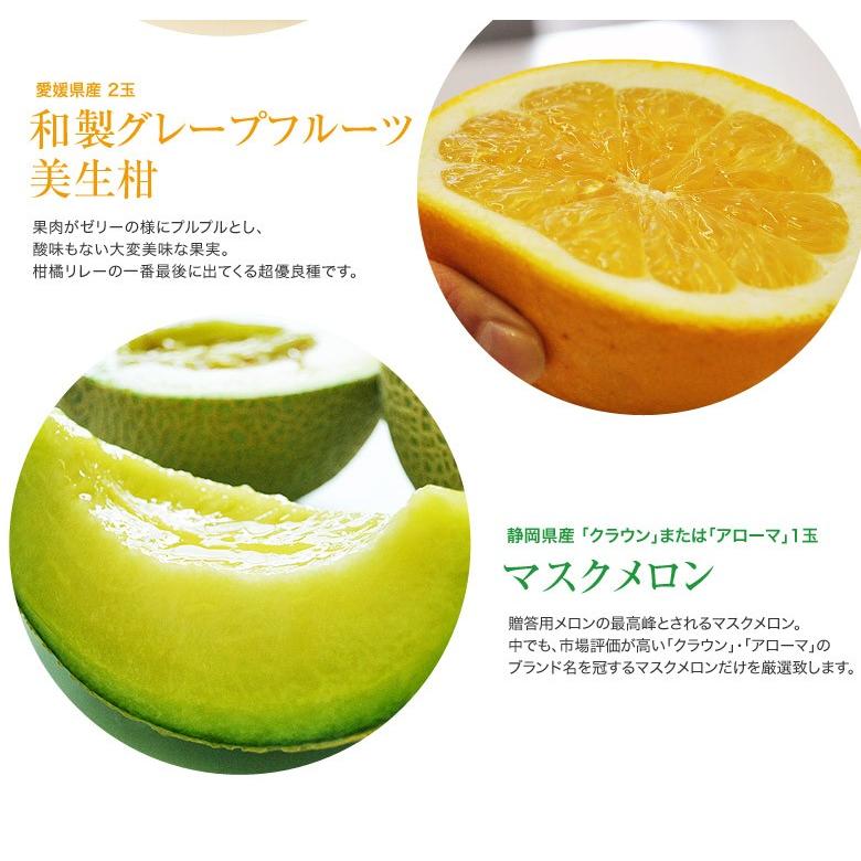 母の日 ギフト フルーツ 送料無料 国産 フルーツ カゴ盛り プラチナ 4種5品 カーネーション メッセージカード付き 造花 4h いただきマルシェ 通販 Yahoo ショッピング