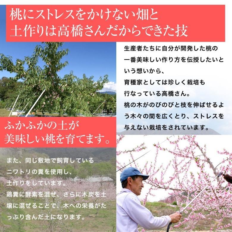 もも 桃 福島県産 高橋忠吉さんの シーエックス 化粧箱入り 約3キロ （5〜8玉入） 送料無料 常温 ふくしまプライド。体感キャンペーン（果物/野菜）｜umeebeccyasannriku｜05