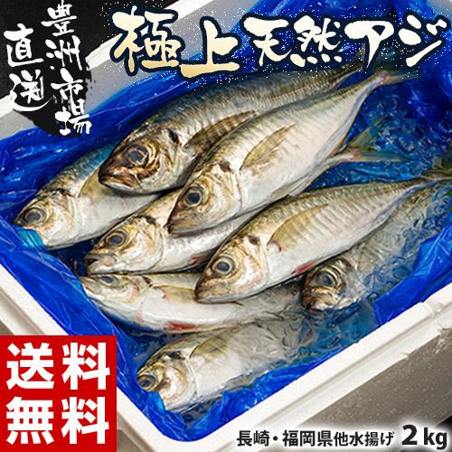 大量消費 極上天然アジ 長崎 福岡県他 九州方面水揚げ 2kg 冷蔵 豊洲市場直送 送料無料 4z いただきマルシェ 通販 Yahoo ショッピング