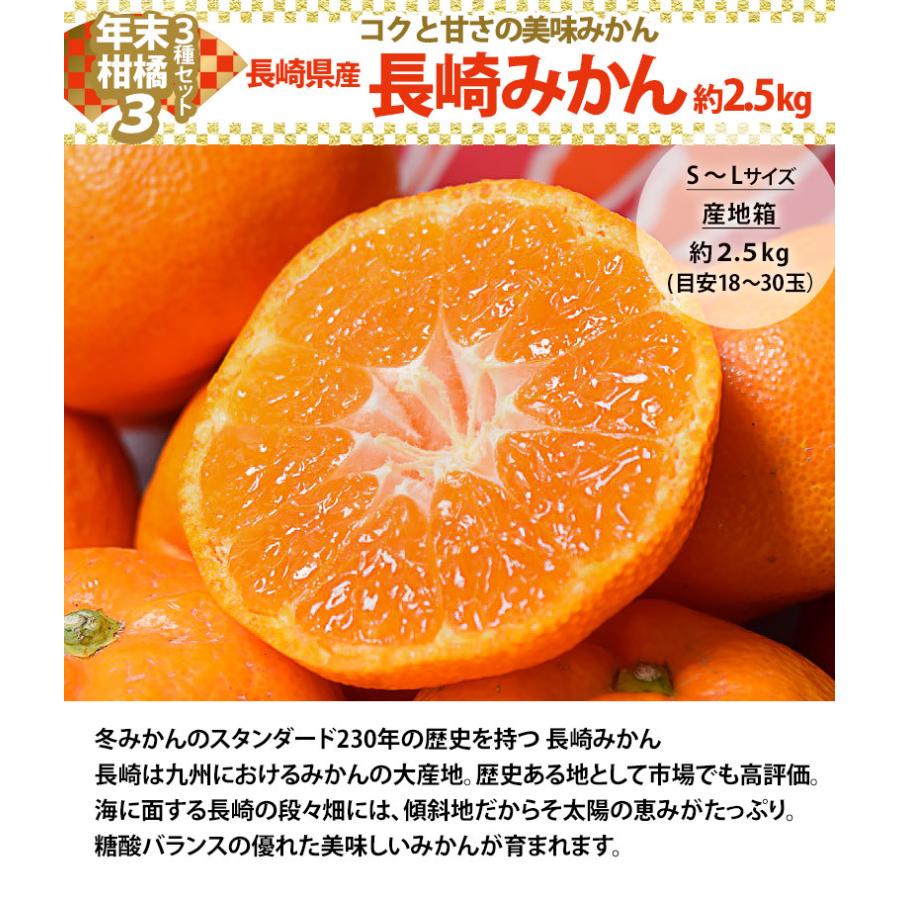 『年末柑橘3種セット落花生つき』計約6.5kg（紅まどんな2kg・はれひめ2kg・長崎みかん2.5kg・Qなっつ1袋） 送料無料｜umeebeccyasannriku｜05