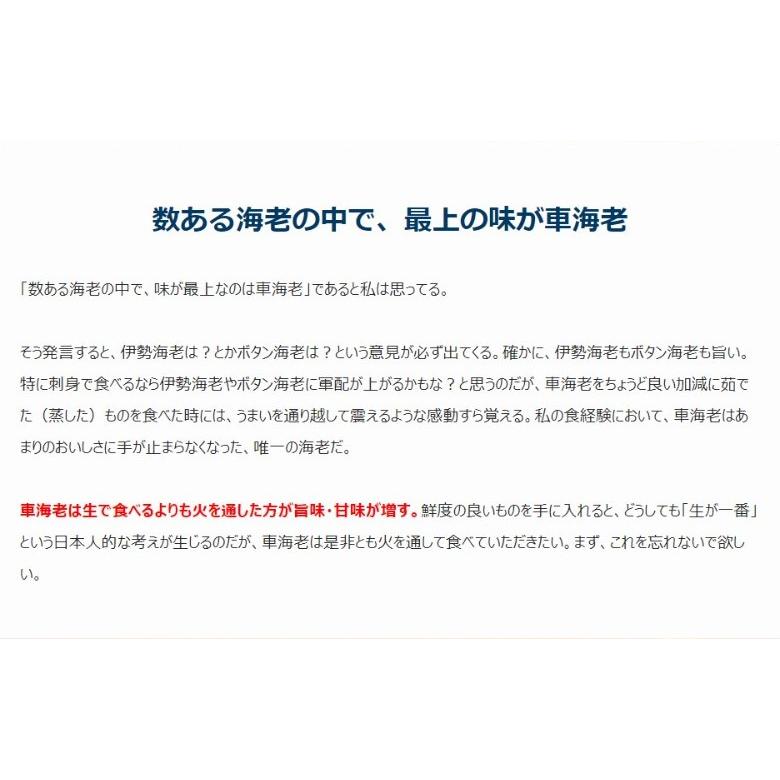 国産　活・養殖車海老500g（8〜9尾・大）※時期によって産地が変わります【豊洲市場直送】　※冷蔵 送料無料 同梱不可｜umeebeccyasannriku｜04