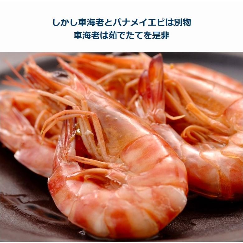 国産 活 養殖車海老500g 8 9尾 大 時期によって産地が変わります 豊洲市場直送 冷蔵 送料無料 同梱不可 Ebi0423 3 いただきマルシェ 通販 Yahoo ショッピング
