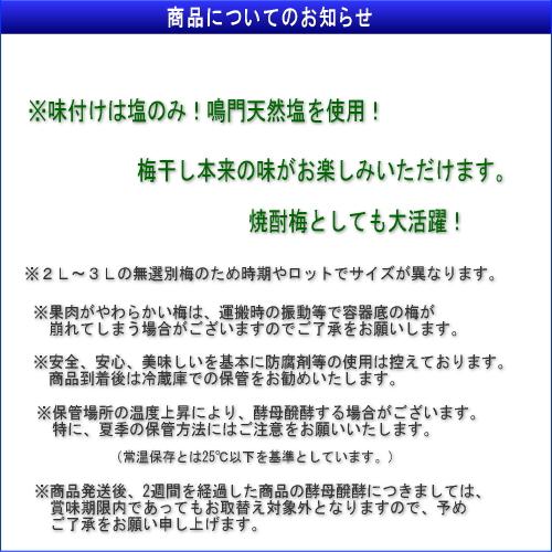 【つぶれ梅上級品】【メール便】熊野味匠ちょっとだけつぶれ梅干［白干］ 500g　紀州南高梅 (塩分約25%) |  | 05