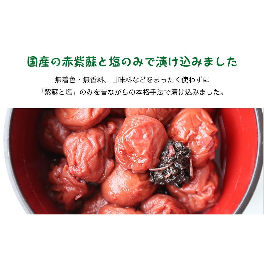 国産の赤紫蘇と塩だけで漬け込んだ昔ながらの田舎漬け 梅干し 国産しそ 塩分17 800g 400g 2 すっぱい しょっぱい 紀州南高梅 送料無料 但し北海道 沖 Zou Suppaishiso17 900 梅一幸 通販 Yahoo ショッピング