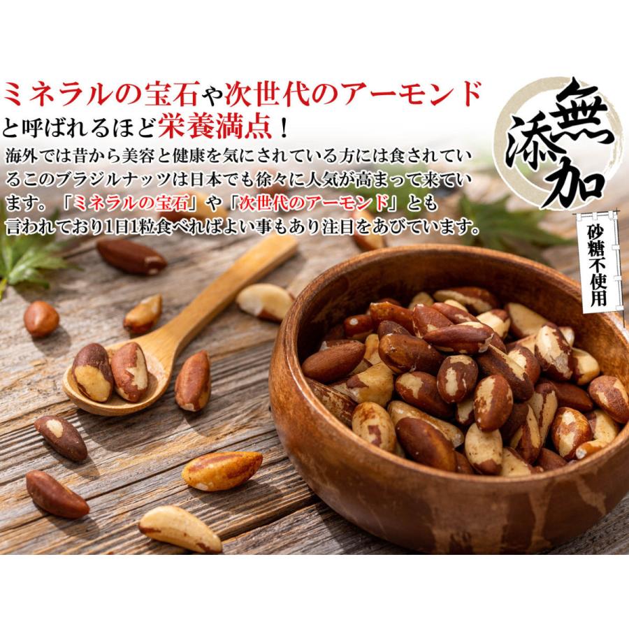 ブラジルナッツ 生 無塩ナッツ ( 無塩 無添加 無油 無着色 ) 1kg（500g
