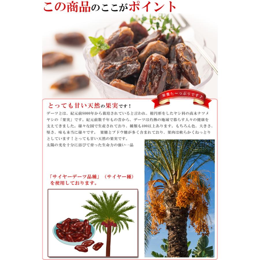 デーツ ドライフルーツ 無添加 無塩 無着色 砂糖不使用 種なし 500g ドライデーツ トルコ産 種抜き コク深い甘みある味わい ナツメヤシの実 乾燥デーツ De Tu500 梅干し 海産物 うめ海鮮yahoo 店 通販 Yahoo ショッピング
