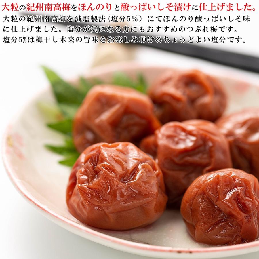 市場 梅干し 紀州南高梅 うめぼし 大粒 つぶれ梅 しそ 市場 梅干し 紀州南高梅 うめぼし 大粒 つぶれ梅 しそ