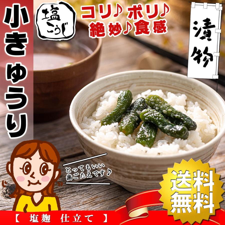 きゅうり 漬物 塩こうじの小胡瓜 つけもの 130g( 塩麹 仕立て )塩こうじ ちびきゅうり 小胡瓜 きゅうりの漬物 珍味 胡瓜 ご飯のお供 おつまみ 得トク2WEEKS :kokyuuri130:梅干し海産物 うめ海鮮Yahoo!店 - 通販 - Yahoo!ショッピング きゅうり 漬物 塩こうじの小胡瓜 つけもの 130g( 塩麹 仕立て )塩こうじ ちびきゅうり 小胡瓜 きゅうりの漬物 珍味 胡瓜 ご飯のお供 おつまみ 得トク2WEEKS :kokyuuri130:梅干し海産物 うめ海鮮Yahoo!店 - 通販 - Yahoo!ショッピング