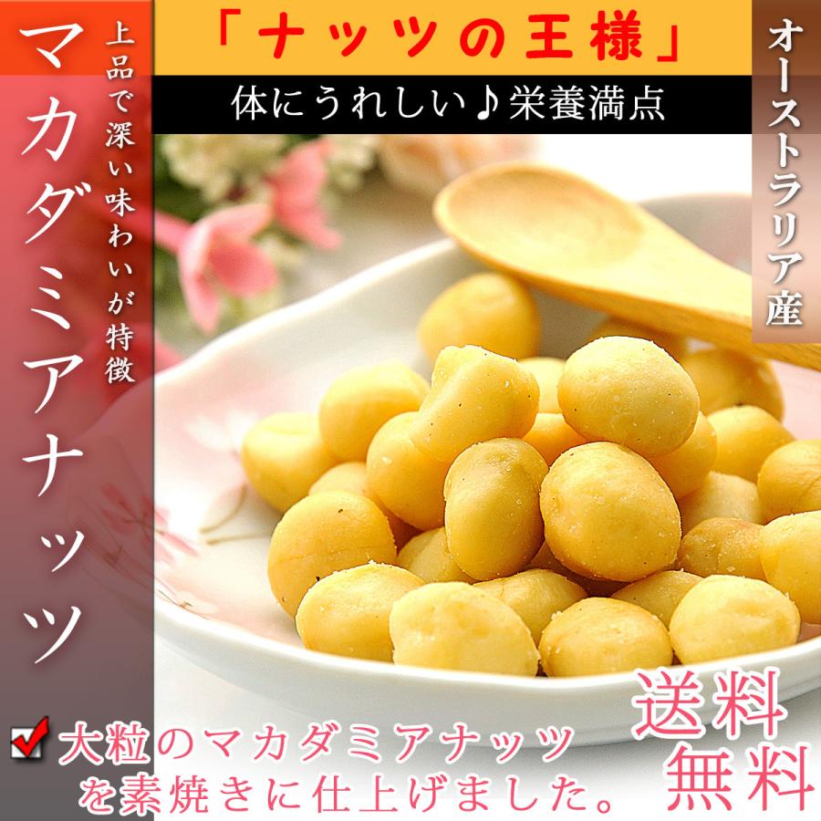 オーストラリア産素焼きマカデミアナッツ等ナッツセット マカダミアナッツ ナッツ 素焼き 塩味 ロースト 1kg（500g×2個）大粒