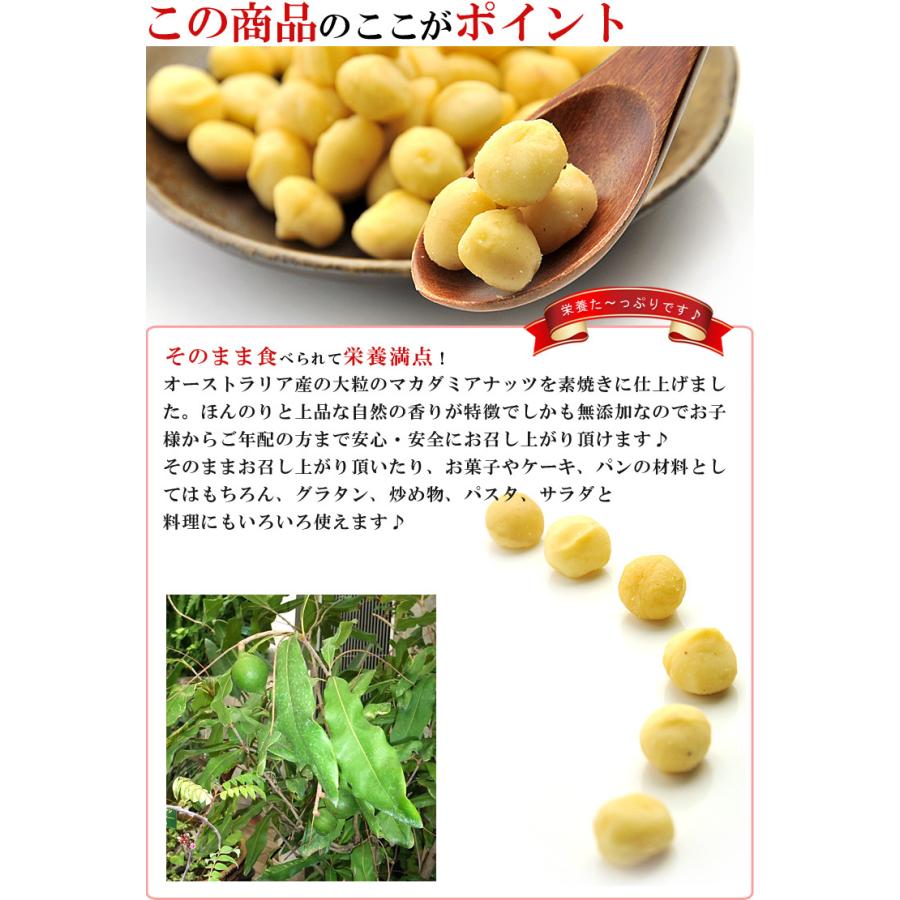 マカダミアナッツ ナッツ 素焼き 塩味 ロースト 1kg（500g×2個）大粒