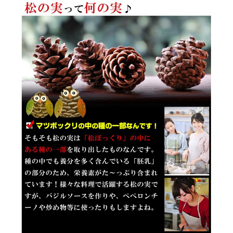松の実 厳選 生 食用 特撰品 500g（無添加 無塩 無着色 ノンオイル