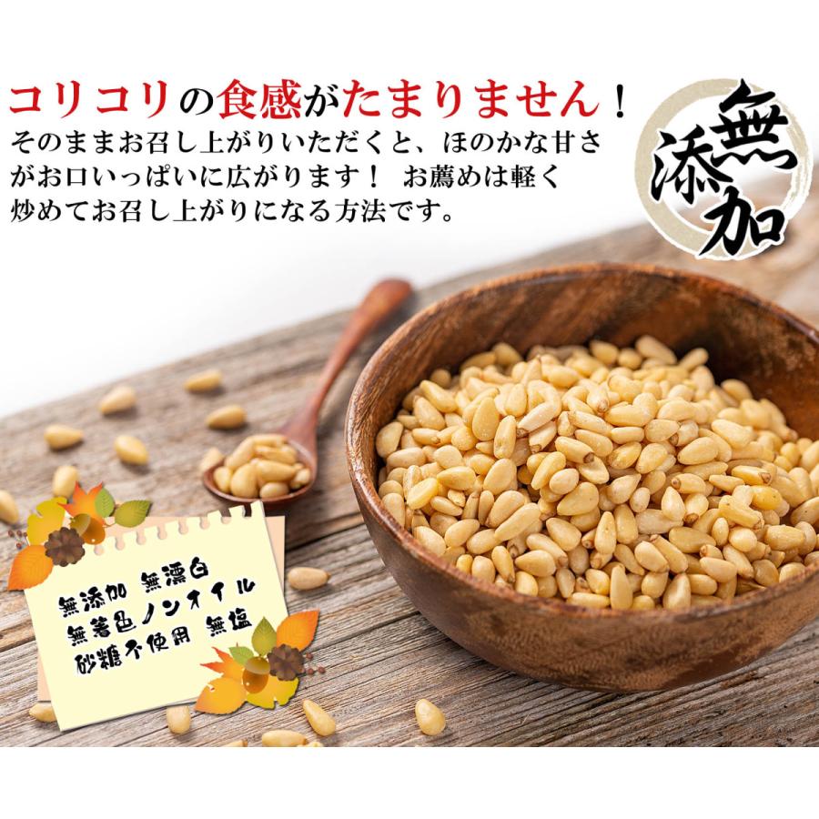 松の実 厳選 生 食用 特撰品 500g（無添加 無塩 無着色 ノンオイル