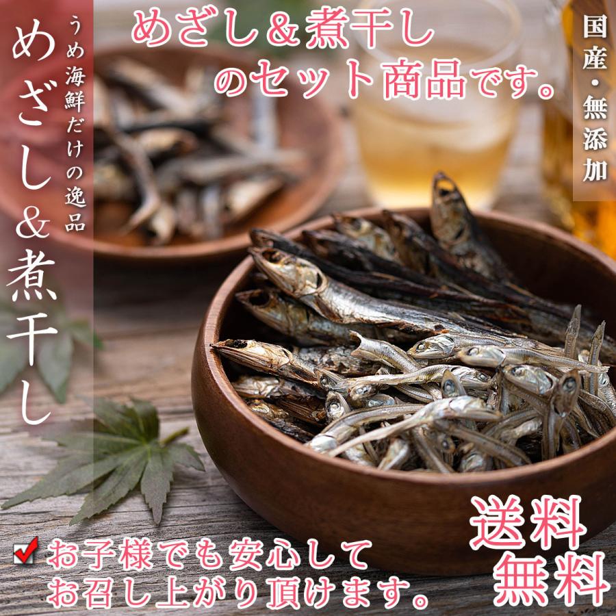 送料無料 国産 いわし削り節 2種類入り 煮干し 食べる煮干し 無添加 小魚 削り節 海鮮詰め合わせセット 干物セット ひもの いわし 干物
