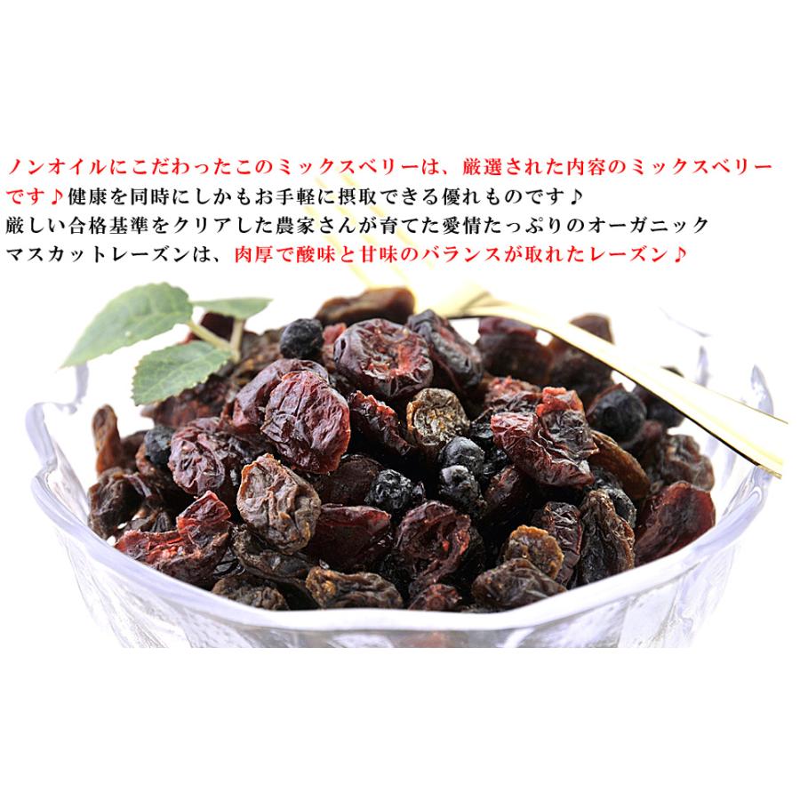 ドライフルーツ ミックスベリー 1kg 500g 2個 レーズン ブルーベリー クランベリー 3種類ミックス ノンオイル ぶどう 葡萄 ドライフルーツミックス Mixbery1k 梅干し 海産物 うめ海鮮yahoo 店 通販 Yahoo ショッピング
