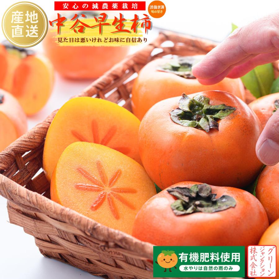 柿 和歌山県産 たねなし柿 ほぼ無農薬 種なし柿 中谷柿（中谷早生柿