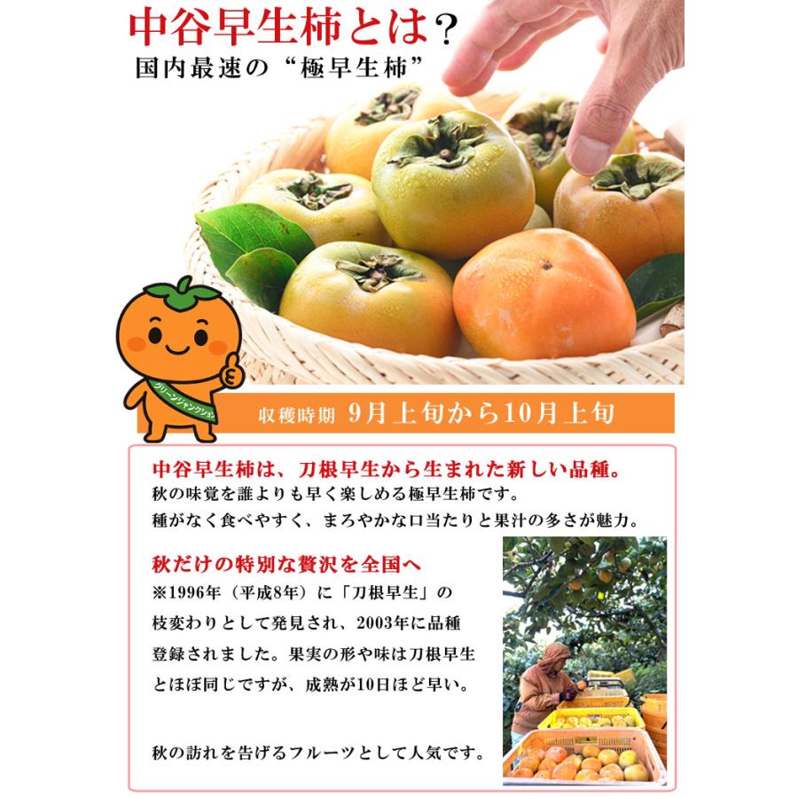 柿 和歌山県産 たねなし柿 ほぼ無農薬 種なし柿 中谷柿（中谷