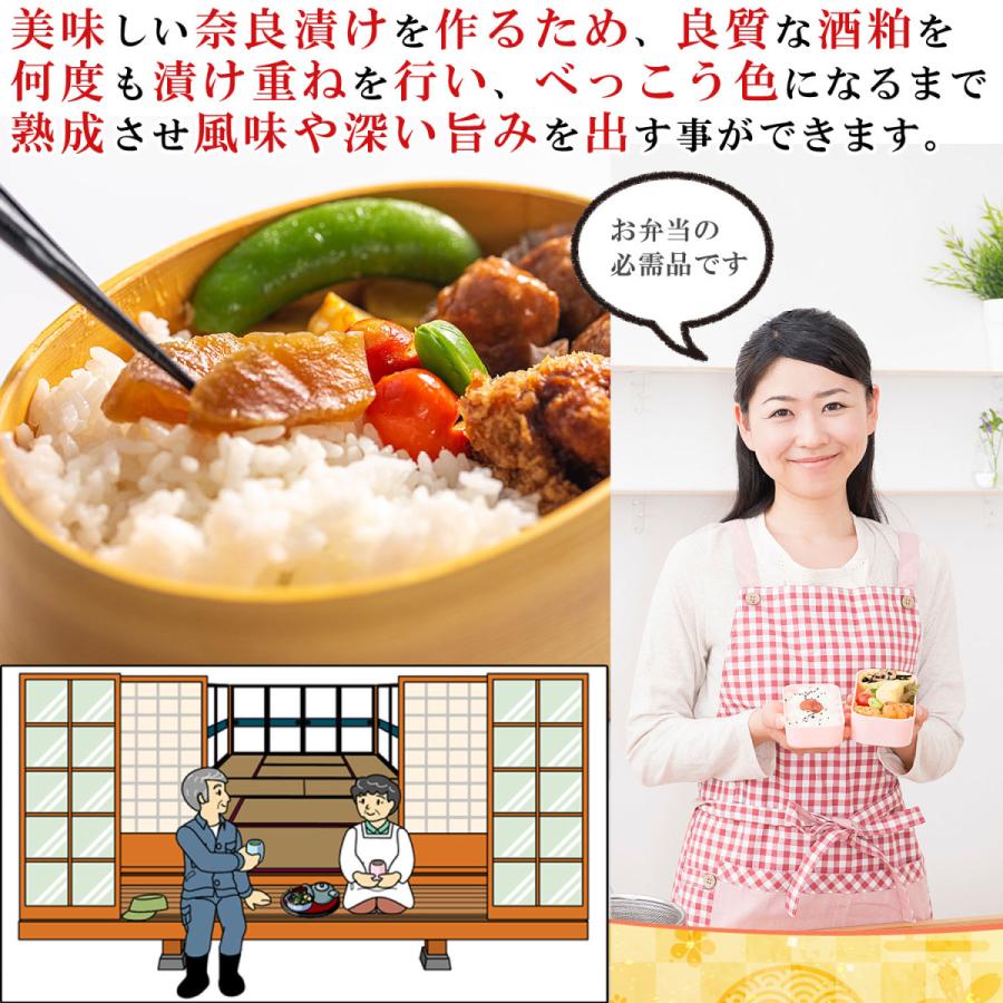 酒粕漬け用 べっ甲色 酒粕 長期熟成 12kg セット 酒粕 さけかす 酒かす 500g 10個 まとめ買い 板粕 越路吹雪 甘酒 粕汁