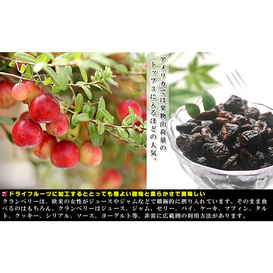 ドライクランベリー オーガニック ドライフルーツ 1kg（500g×2個）無
