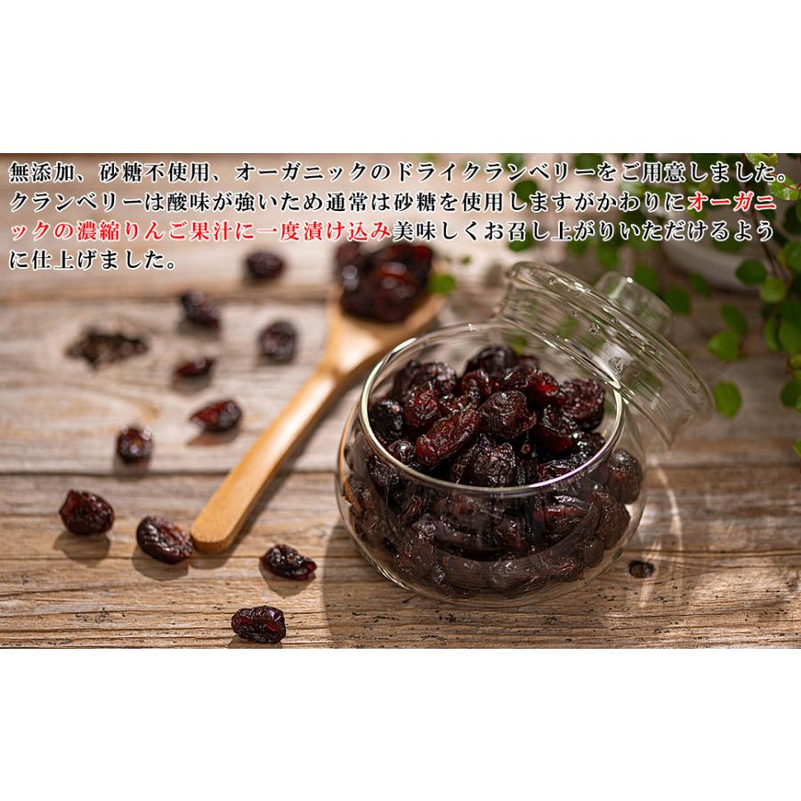 ドライクランベリー オーガニック ドライフルーツ 1kg（500g×2個）無