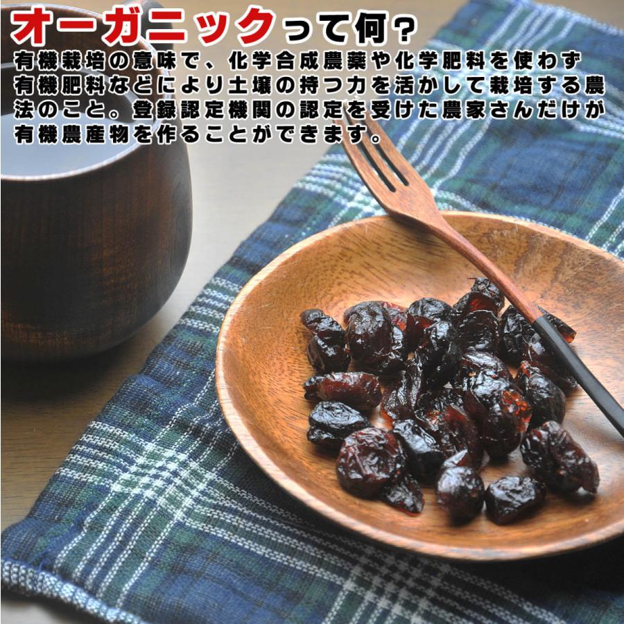 ドライクランベリー オーガニック ドライフルーツ 1kg（500g×2個）無