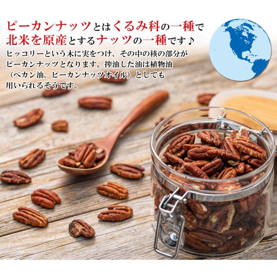 ピーカンナッツ ロースト 素焼き 500g ( 無塩 無添加 無油 無着色 砂糖