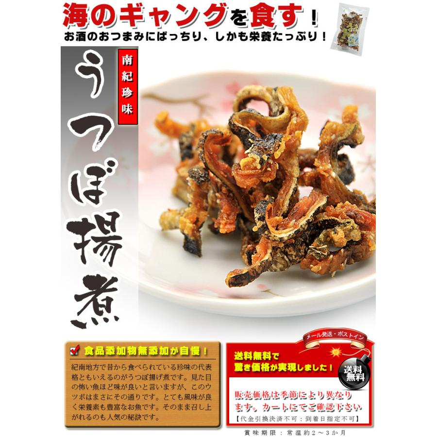 国産 海鮮 おつまみ 珍味 うつぼ揚煮 佃煮 45g×5個 ( 無添加 ) 唐揚げ