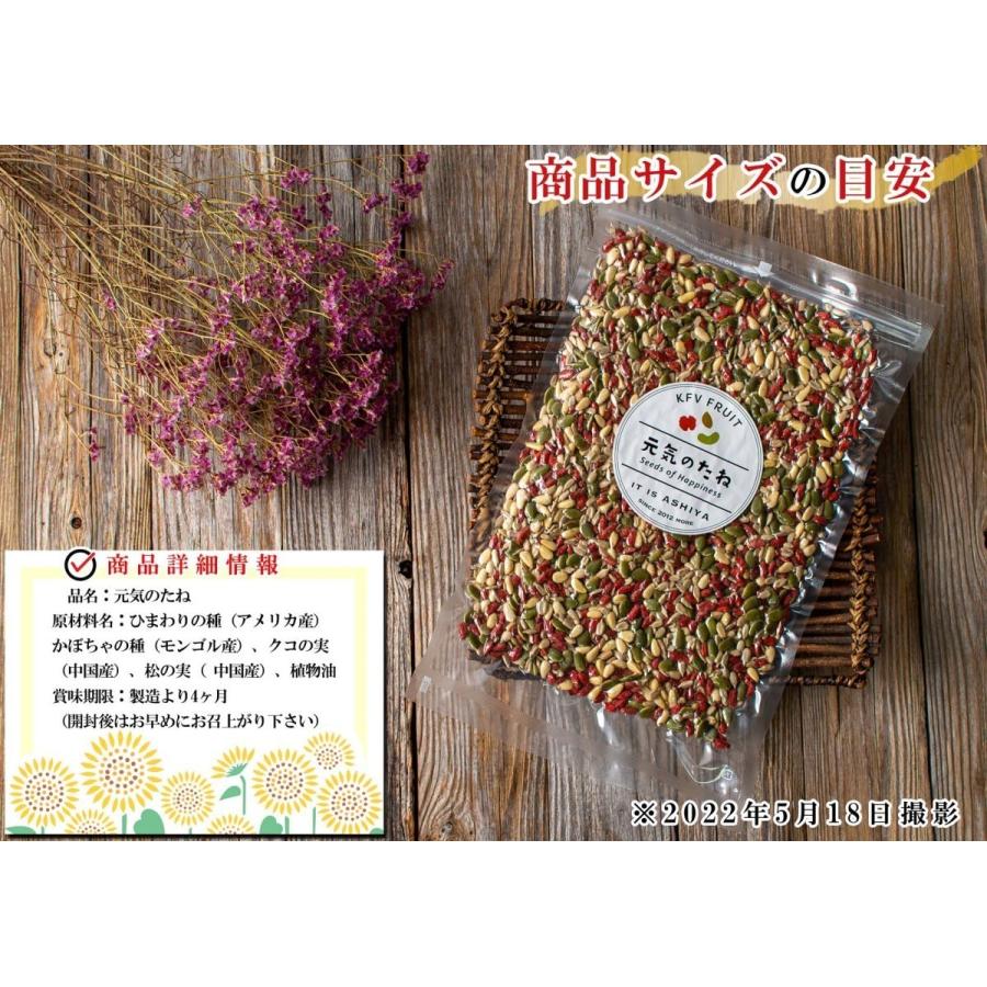 元気のタネ 4種 ミックスナッツ おつまみ 1kg（500g×2個）（ ひまわり