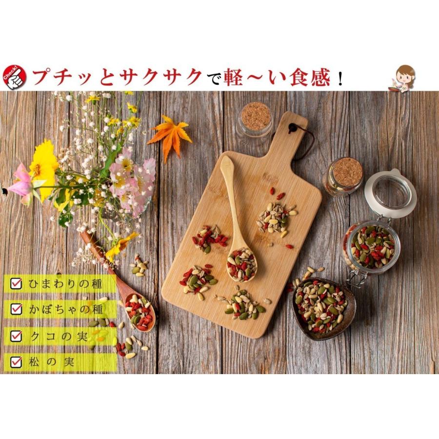 元気のタネ 4種 ミックスナッツ おつまみ 500g（ ひまわりの種