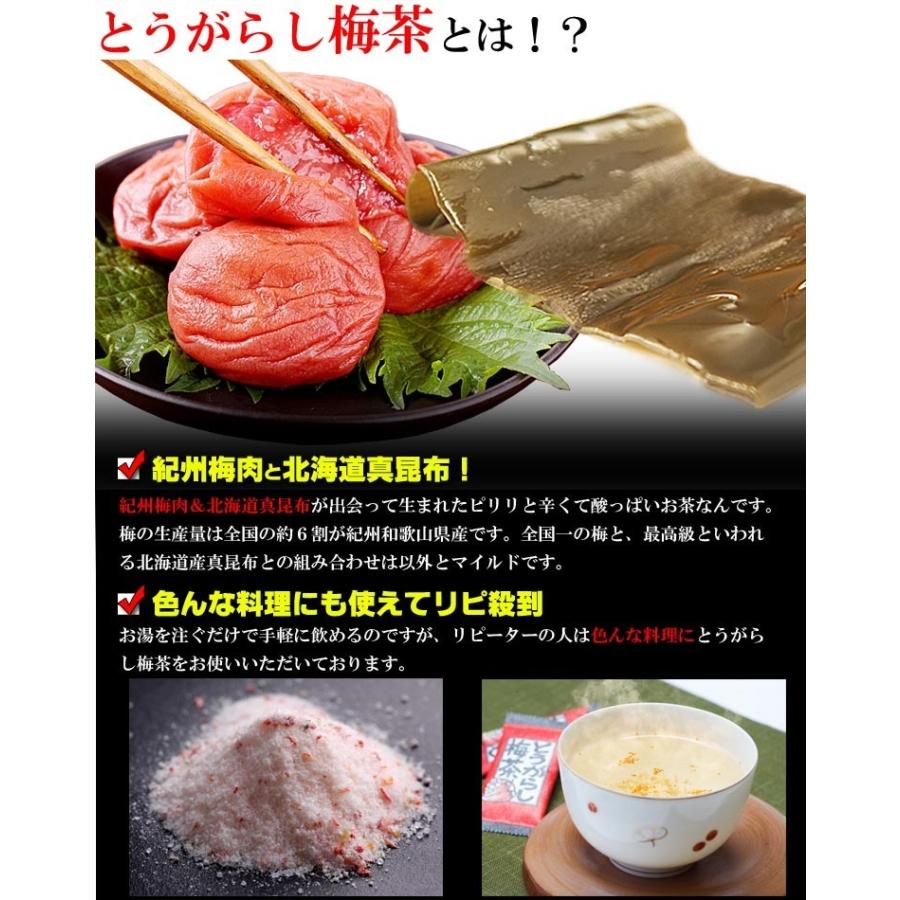 梅昆布茶 とうがらし梅茶 24p 昆布茶 健康茶 こぶちゃ コンブチャ こんぶ茶 お茶 ギフト 得トク2WEEKS :tougarasi-1:梅干し海産物 うめ海鮮Yahoo!店 - 通販 - Yahoo!ショッピング 梅昆布茶 とうがらし梅茶 24p 昆布茶 健康茶 こぶちゃ コンブチャ こんぶ茶 お茶 ギフト 得トク2WEEKS :tougarasi-1:梅干し海産物 うめ海鮮Yahoo!店 - 通販 - Yahoo!ショッピング